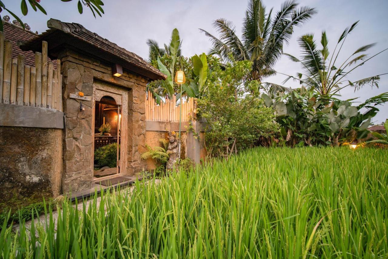 Villa Nini อูบุด ภายนอก รูปภาพ